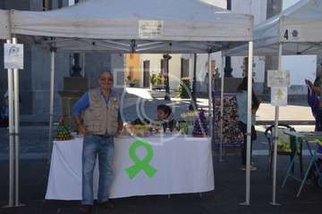 I Feria de Participación Ciudadana y del Voluntariado de Telde (Foto TA)